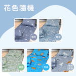 【多利寶寢具】Victoria_日本大和抗菌三件式床墊被枕組-隨機出貨(1組), , large