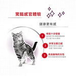 【拉拉寵物小舖】法國皇家 貓主食餐包 STW 感官饗宴&trade; 豐富鮮味主食濕糧 貓主食濕糧, , large