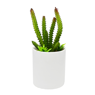 【YU Living】 迷你模擬仙人掌植物盆栽