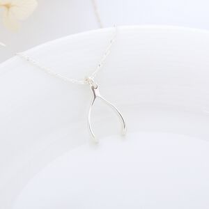 【Angel & Me】Lucky Wishbone s925 sterling silver necklace birthday gift