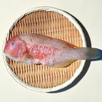 【一夫水產】澎湖野生紅石老, , large