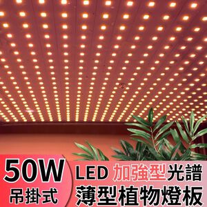 【君沛植物燈】LED植物燈 LED50W薄型植物燈板 50瓦吊掛式植物燈 加強型光譜 強化植物莖葉發展 植物成長專用燈