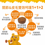 【IN-Plus】蛋殼膜關節保健 雙效呵護配方60顆/罐(全齡犬/狗關節/皮膚保健/寵物保健), , large