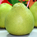 【一等鮮】麻豆文旦禮盒2盒〈9~12粒/10斤/盒〉(免運費), , large