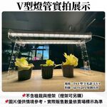 【君沛】V型雙排 50W UVA顯色 4呎 T8一體式植物燈 全光譜 抑制徒長 龍舌蘭 多肉上色 大型植物架補光 免燈座, , large