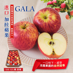 [馥果FruitGo]進口 加拉蘋果 GALA-120-125顆進口原箱18-20kg(法國_紐西蘭_美國), , large