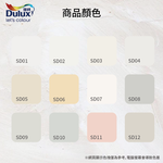 Paint, , large