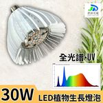 【君沛】UV紫外線全光譜 30W植物燈泡 E27 誘導上色 抑制徒長 多肉顯色 龍舌蘭控型 台灣製造, , large