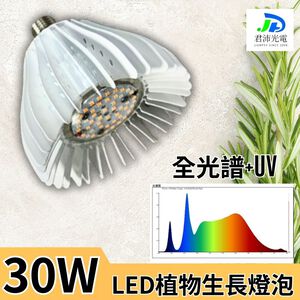 【君沛】UV紫外線全光譜 30W植物燈泡 E27 誘導上色 抑制徒長 多肉顯色 龍舌蘭控型 台灣製造