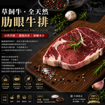 豪鮮牛肉 南美草原之心全天然肋眼牛排10片(100g&plusmn;10%/片), , large
