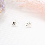 【Angel & Me】Star of Hope s925 sterling silver earrings Birthday gift, , large