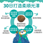 【IN-Plus】蛋殼膜卵磷脂 護膚亮毛配方300顆/罐(全齡犬/寵物保健/皮膚保健), , large