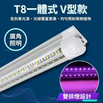 【君沛】7號光譜 V型雙排 4呎植物燈管 50W 旗艦功率 鹿角蕨推薦 觀葉植物 抑制徒長 還原原色 大型層架專業生長燈, , large