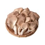 Organic Oyster Mushroom, , large