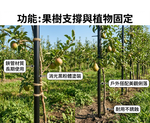 【 SHAONIANNA.TW 】&Oslash;25 消光黑錏管圓管｜150cm 現貨｜粉體塗裝｜遮光防青苔｜工程／戶外用鐵管 種植園藝, , large