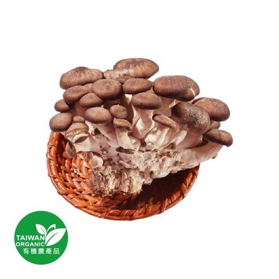 有機黑美人菇150g/盒