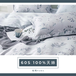 【帕瑪PAMA】60S 100%天絲兩用被床包組-朱實裊裊, , large