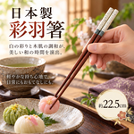 【HIYASU日安工坊】日本工藝箸-彩羽 白, , large
