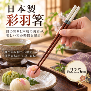 【HIYASU日安工坊】日本工藝箸-彩羽 白