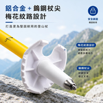 【Pioneer 開拓者】小精靈五系 碳纖維兒童折疊登山杖 一入 任選, , large