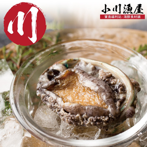 Premium South African Live-Frozen Shell-On Abalone