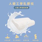 【青鳥家居】防蟎抗菌100%天然乳膠枕 枕頭 乳膠枕 乳膠枕頭 透氣枕頭 透氣枕 人體工學枕 低枕頭, , large