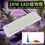 【君沛】7號光譜抑制徒長燈板 20W 藍光強化 磁吸式植物燈 鹿角蕨控養 龍舌蘭 塊根 縮刺 專業補光, , large