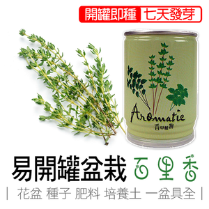  thyme