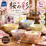 【HIYASU日安工坊】日安工坊櫻之彩5入碗組, , large
