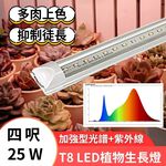【君沛】UV紫外線 4呎 T8植物燈管 25W 加強型光譜 多肉顯色 上色專用 抑制徒長 龍舌蘭 大型層架補光, , large