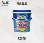 Paint, , large