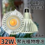 【君沛植物燈】LED植物燈 PAR38 LED32W聚光透鏡高光效植物燈(S85光譜) 白殼 適合龍舌蘭、塊根, , large