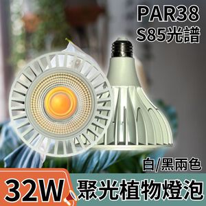 【君沛植物燈】LED植物燈 PAR38 LED32W聚光透鏡高光效植物燈(S85光譜) 白殼 適合龍舌蘭、塊根