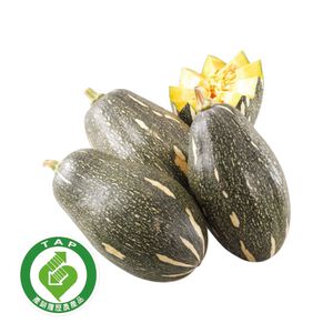 履歷木瓜型南瓜800G
