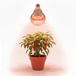 【君沛】加強型光譜 15W植物燈泡 E27 抑制徒長 誘導顯色 多肉控型 觀葉植物 塊根補光 專業生長燈 室內燈養首選, , large