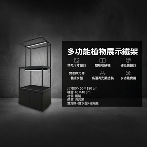 【 SHAONIANNA.TW 】創意塊根植物鐵架（搭配實用收納櫃，完美收納與展示）