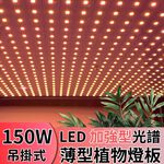 【君沛植物燈】LED植物燈 植物燈板 150瓦 量子板  加強型 全光譜 led燈板 多肉燈捕光燈, , large