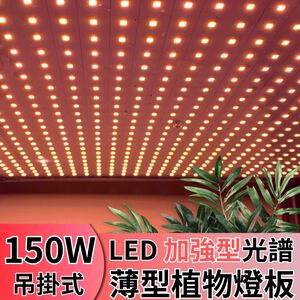 【君沛植物燈】LED植物燈 植物燈板 150瓦 量子板  加強型 全光譜 led燈板 多肉燈捕光燈