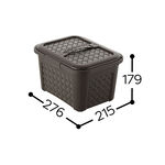 P2-0121 Basket, , large