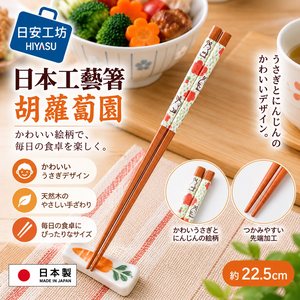 【HIYASU日安工坊】日本工藝箸-胡蘿蔔園