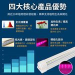 【君沛】730全光譜 2呎 T8一體式植物燈 12.5W 免燈座 抑制徒長 多肉育苗 觀葉植物櫃層架補光 自然光感, , large
