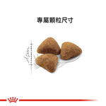【拉拉寵物小舖】法國皇家 貓飼料 IN27 室內成貓專用乾糧 10公斤, , large