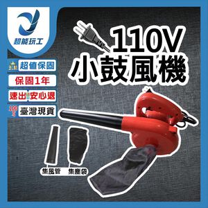 110V small blower