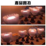 【君沛植物燈】LED植物燈 e27 植物燈泡 軌道式 40瓦 加強型全光譜 全電壓 植物生長燈, , large