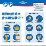 【PawHomie】法國法典Francodex 關節軟骨靈活錠-犬貓通用, , large