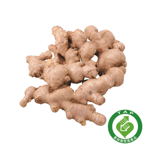 TAP Ginger Root