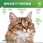 【PawHomie】法國威隆Vetoquinol 獸醫貓安口服凝膠, , large