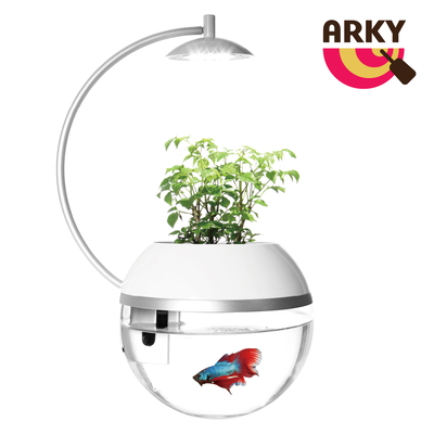 [桃品國際] ARKY 香草與魚 X