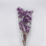 (桑妮亞花坊)滿天星 乾燥花束, , large