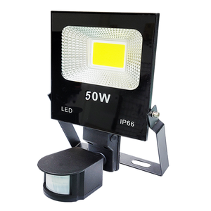BC-850A 50W Outdoor Infrared Sensor Floodlight (White light - Made in Taiwan)